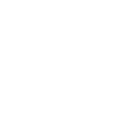 X icon